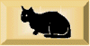 Meine Katzen