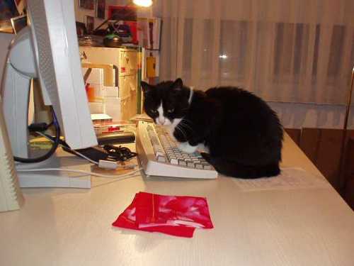 Mäuschen beim Tagebuch-Schreiben