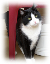 Paulchen, Anfang Mai 2004